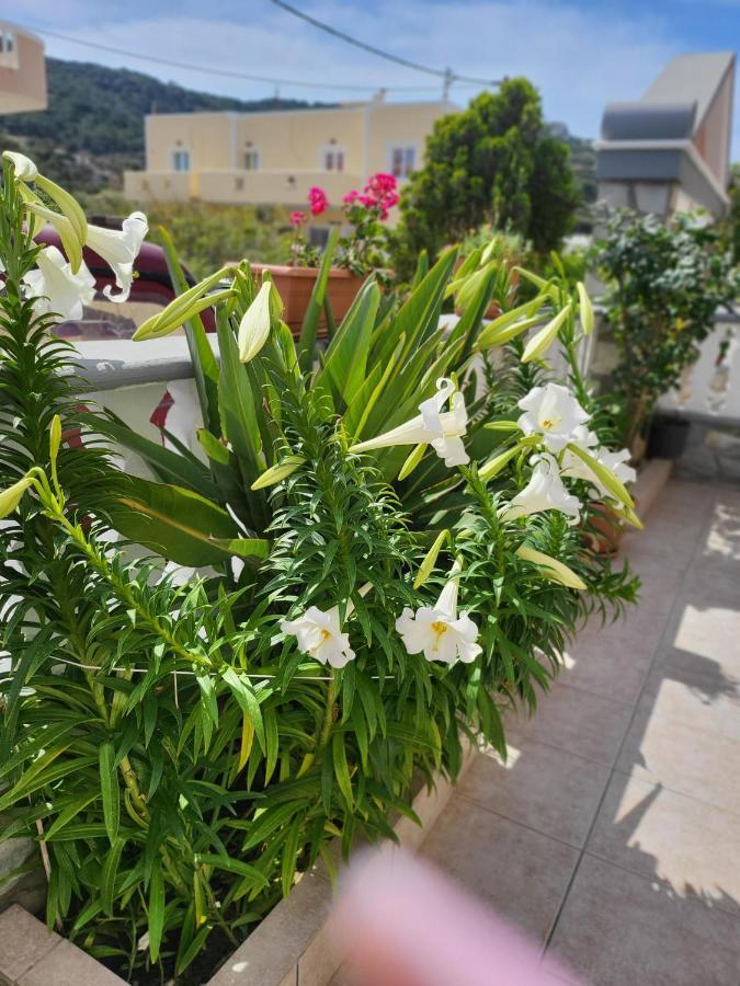 Roumeliotis House Apartment การ์ปาตอส ภายนอก รูปภาพ